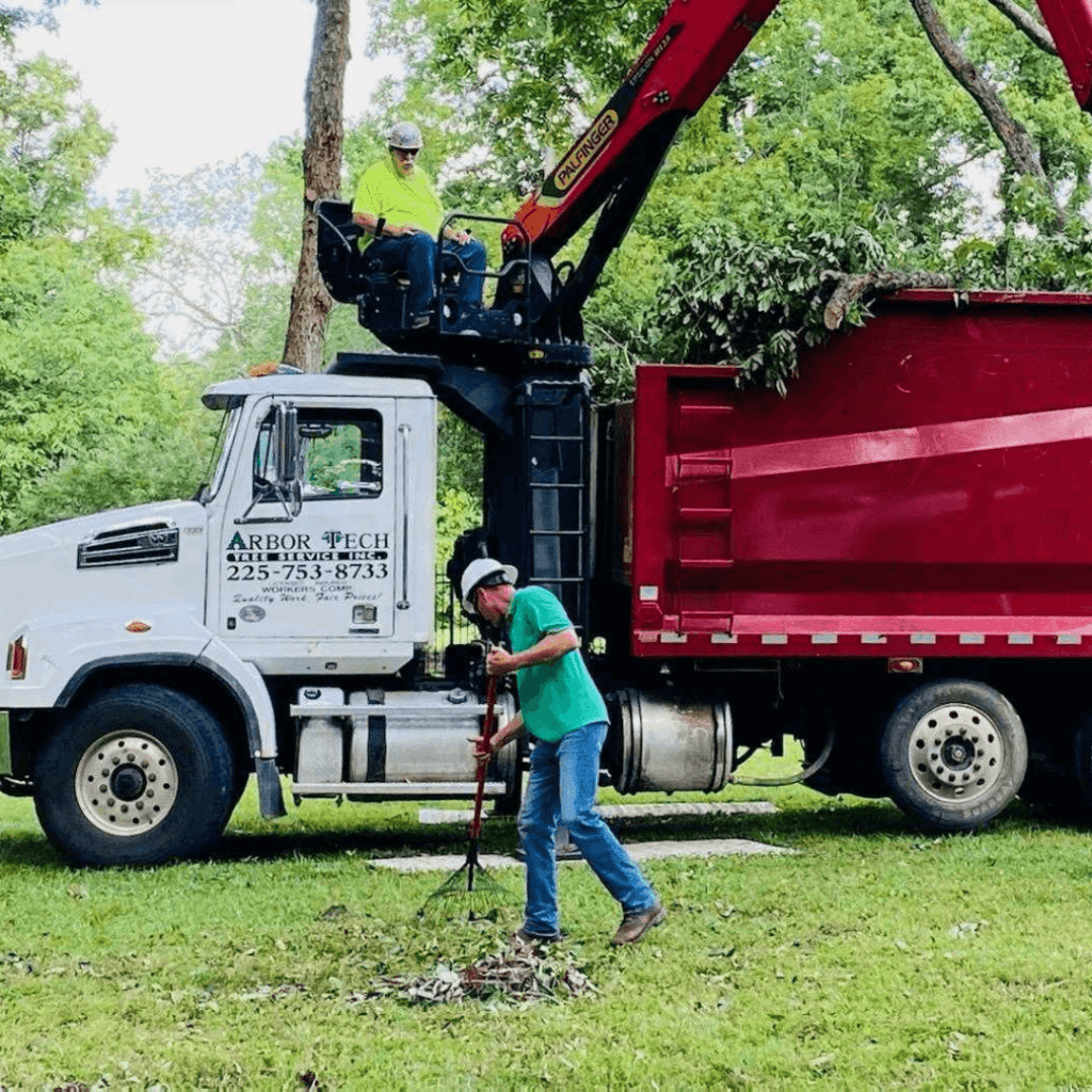 Tree Service Jobs