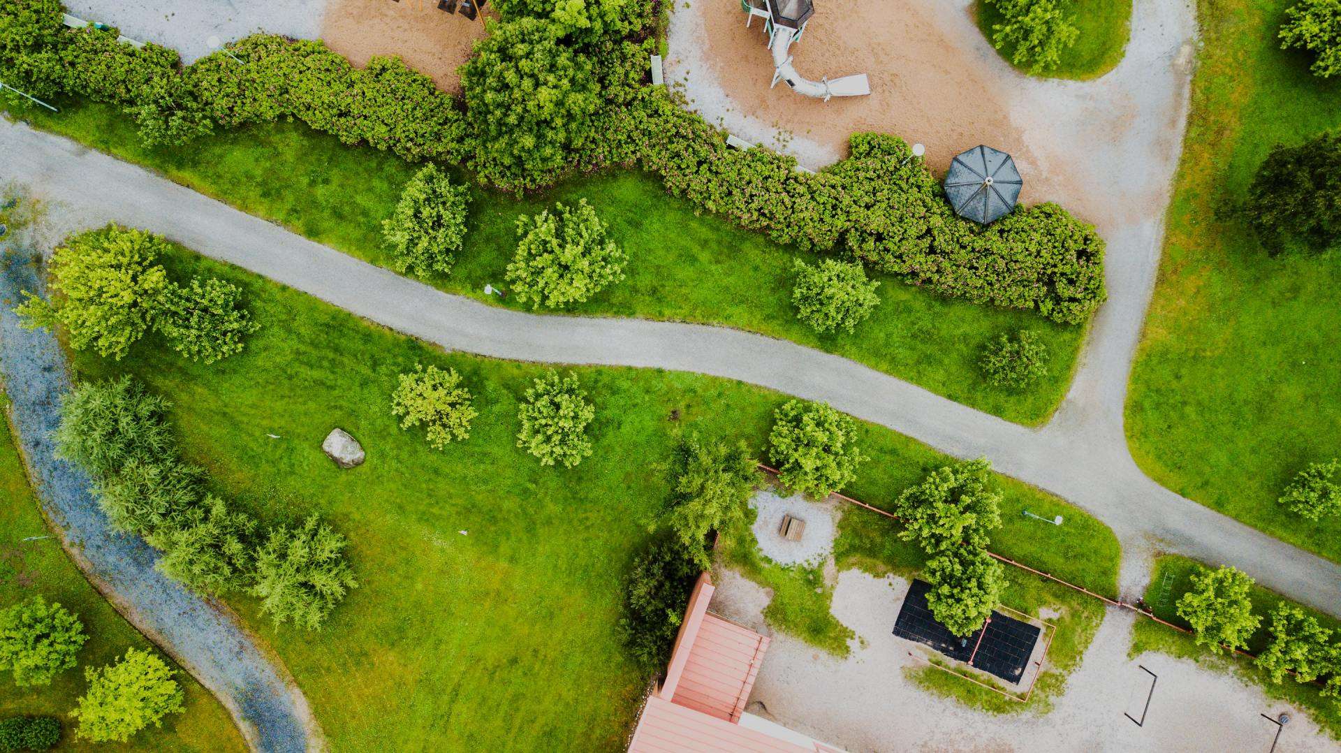 The Ultimate Guide to Baton Rouge Tree Services