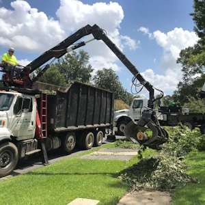 debris removal and disposal