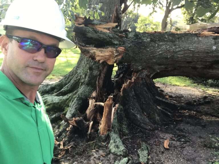 Joe Wilson Founding Arborist stands by collapsed ancient Live Oak Tree.